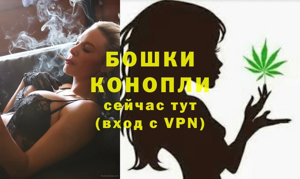 ГАЛЛЮЦИНОГЕННЫЕ ГРИБЫ Коряжма