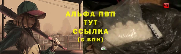 ГАЛЛЮЦИНОГЕННЫЕ ГРИБЫ Коряжма