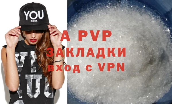 ГАЛЛЮЦИНОГЕННЫЕ ГРИБЫ Коряжма