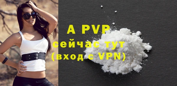 ГАЛЛЮЦИНОГЕННЫЕ ГРИБЫ Коряжма