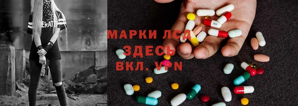 ГАЛЛЮЦИНОГЕННЫЕ ГРИБЫ Коряжма