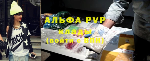 ГАЛЛЮЦИНОГЕННЫЕ ГРИБЫ Коряжма